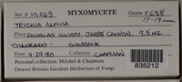 Image Associated With the Occurence
